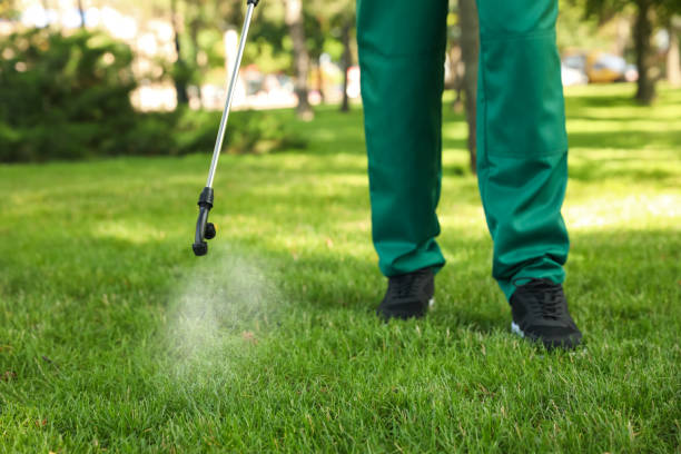 Best Pest Removal Services  in Spearfish, SD