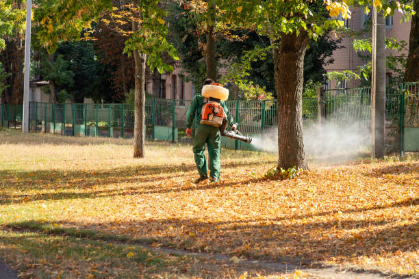 Best Flea Control Services  in Spearfish, SD
