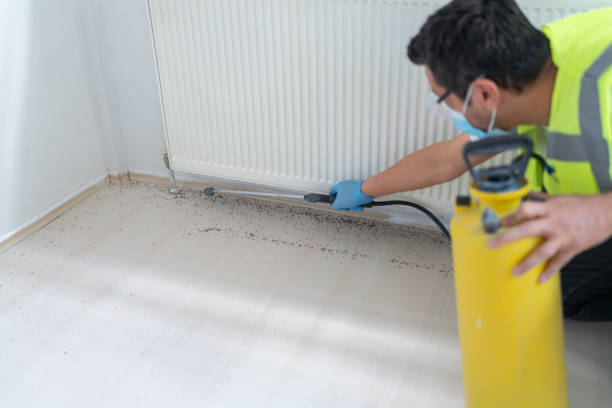 Best Flea Control Services  in Spearfish, SD