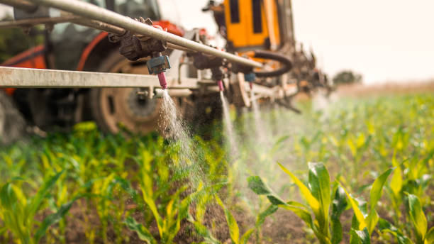 Best Commercial Pest Control Services  in Spearfish, SD